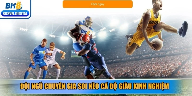 Đội ngũ chuyên gia soi kèo cá độ giàu kinh nghiệm tăng cơ hội thắng